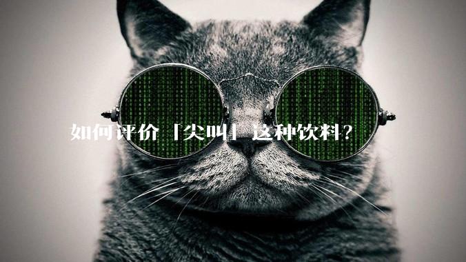如何评价「尖叫」这种饮料？