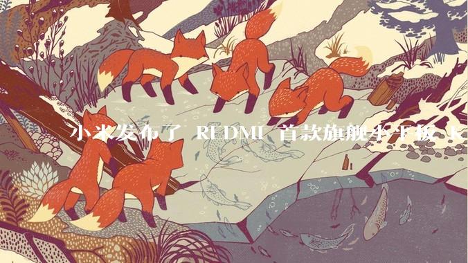 小米发布了 REDMI 首款旗舰小平板 K Pad，仅 8.8 英寸，小巧便携，如何评价这一设计？