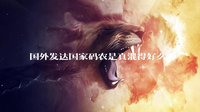 国外发达国家码农是真混得好么?