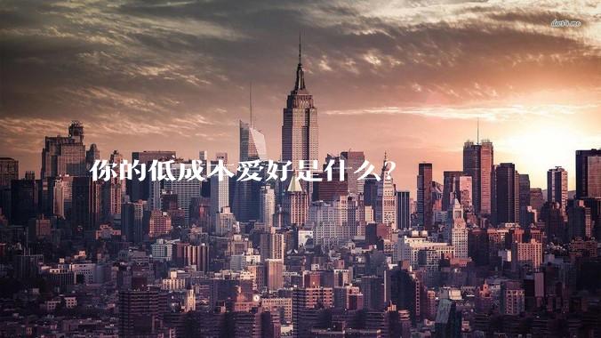 你的低成本爱好是什么？